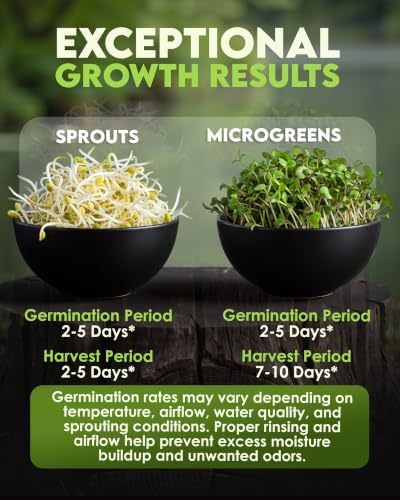 Nature Jim's Sprouts Salad Mix – Broccoli, Alfalfa, Clover, Radish, 1lb - Image 5