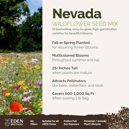 Eden Brothers Nevada Wildflower Mixed Seeds for Planting, 1 lb - Image 2