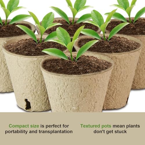 12 Pcs Peat Pots, Biodegradable Pots for Seedlings with Drain Holes, Garden Plant Nursery Pots for Plants, Vegetables,Fruits and Herb (12) - Image 3