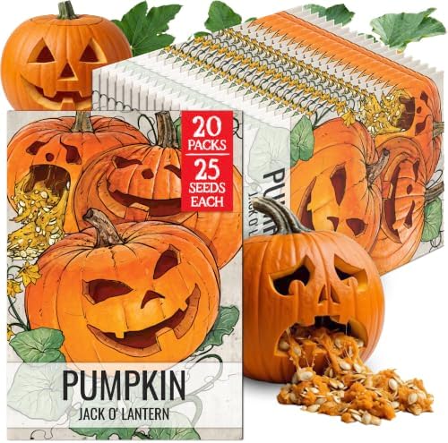 Seed Needs Jack O Lantern Pumpkin Seeds to Plant Vegetables - 20 Packs by SeedNeeds