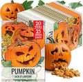 Seed Needs Jack O Lantern Pumpkin Seeds to Plant Vegetables - 20 Packs by SeedNeeds