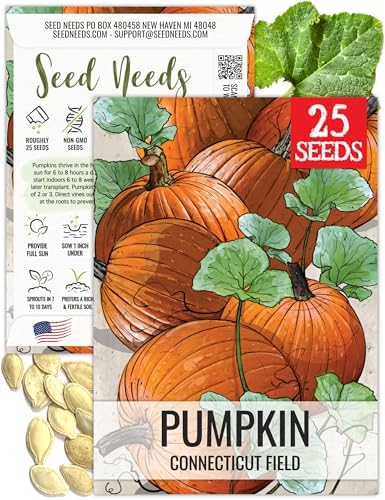 Seed Needs Connecticut Field Pumpkin Seeds to Plant Vegetables - 1 Pack by SeedNeeds