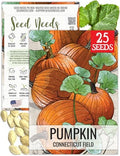 Seed Needs Connecticut Field Pumpkin Seeds to Plant Vegetables - 1 Pack by SeedNeeds