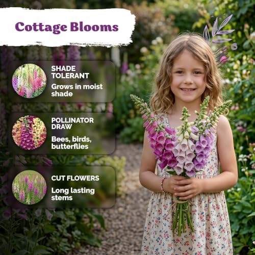 5,500 Foxglove Excelsior Mix Heirloom Flower Seeds, Digitalis Purpurea - Image 4