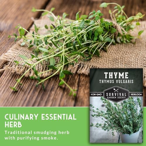 Thyme Seeds for Planting – Survival Garden Seeds (5 Packs) - Image 5