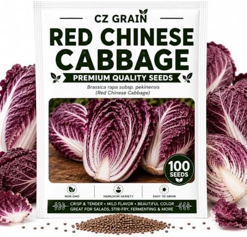 Red Chinese Cabbage Seeds for Planting | Crisp Heirloom Heads | 100 Seeds by CZGrain