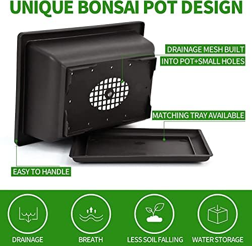 Meekear Bonsai Tree Kit with Complete Plant Growing Tools, Grow in Pot Indoor Bonsai Tree Starter Kit, Home Gardening DIY Gift for Adult - Image 4
