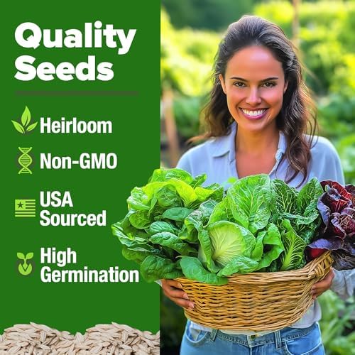 HOME GROWN Lettuce Seeds 5 Variety Mix 3950+ Bulk Pack (Lactuca Sativa) - Image 2