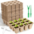 DANALLAN 20Pcs Seed Starter Tray 240 Cells Seed Starting Trays Thickened Biodegradable Seed Starter Pots Kit for Vegetables Flowers Seed Starting Planting Seeds (20) by DANALLAN