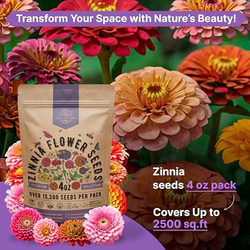 Zinnia Seeds Pack 4 oz - Over 15,300 Non-GMO Heirloom Zinnia Seeds for Planting, Annual Flowers in Individual Seed Packet for Planting Home Garden Indoor & Outdoor Gardening - Image 4