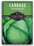 Brunswick Cabbage Seeds for Planting – Survival Garden Seeds (1 Pack) by SurvivalGardenSeeds