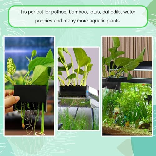 2PC 7 Holes Upgraded Aquarium Plant Holder, Aquatic Plants Cup for Tank - Image 3