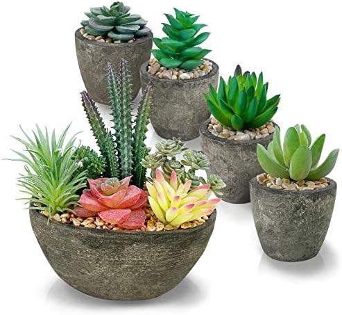 Succulents Plants Artificial Set of 5, Realistic Fake Succulents with Cement Like Pots for Home Office Decoration. by SPEPLA