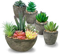 Succulents Plants Artificial Set of 5, Realistic Fake Succulents with Cement Like Pots for Home Office Decoration. by SPEPLA