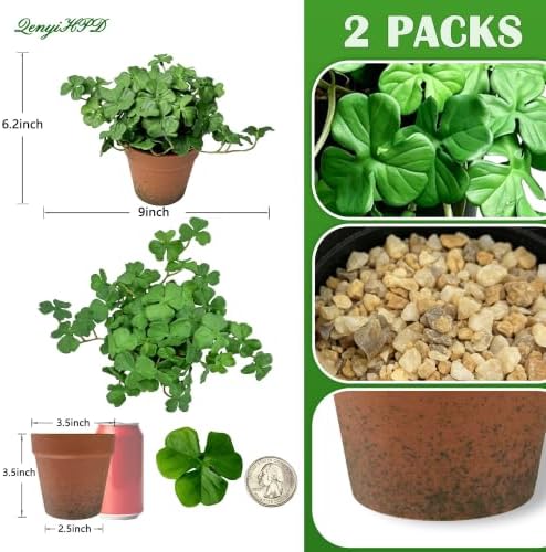Artificial Shamrock Potted Plants, Set of 2 Indoor Faux Clover Decor - Image 2