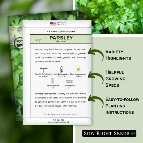Sow Right Seeds - Flat Leaf Italian Parsley Seed for Planting Herb Garden - Image 2