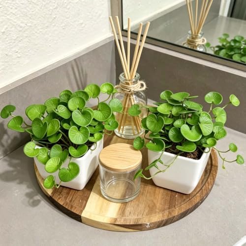 Artificial Coin Grass, 2 Pack Potted Plants for Indoor Tabletop Home Office - Image 3