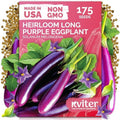175 Long Purple Eggplant Heirloom Vegetable Seeds, Solanum Melongena by KVITER