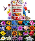 HOME GROWN 24 Wildflower Variety Mix 60,600+ Flower Seeds 2 oz by HOMEGROWN