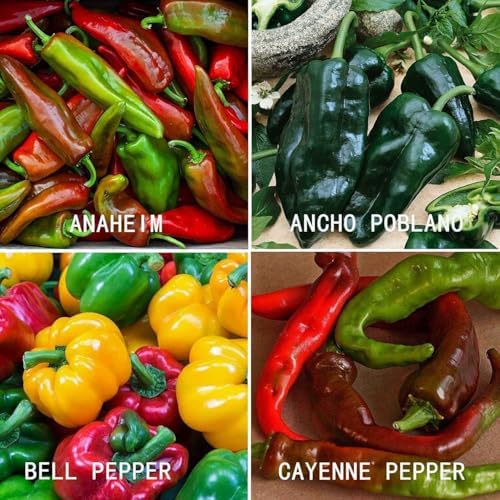 Hot and Sweet Pepper Seeds Collection, 8 Varieties, Jalapeno, Habanero, Bell Pepper, Cayenne, Hungarian Wax, Anaheim, Serrano, Poblano Vegetable Planting - Image 4