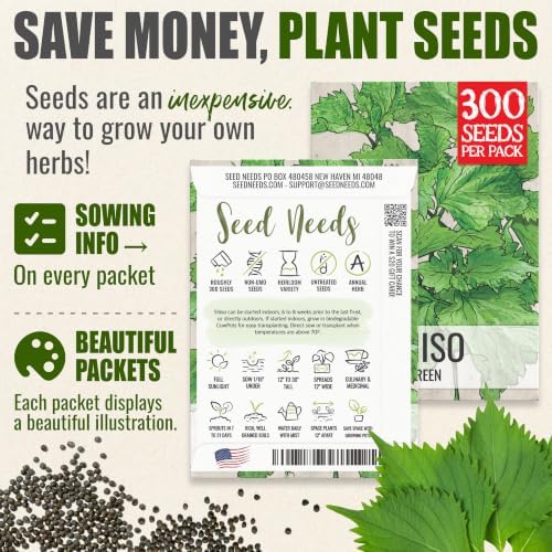 Seed Needs Green Shiso Seeds to Plant an Herb Garden - 5 Packs - Image 3
