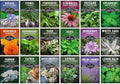 Medicinal Herb Seeds for Planting, 18-Variety Heirloom Non-GMO Pack by SurvivalGardenSeeds