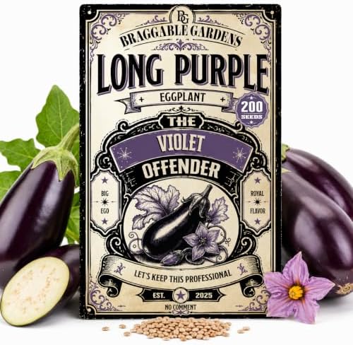 Long Purple Eggplant Seeds for Planting, Heirloom Vegetable Garden Seeds, Deep Purple Eggplant Variety for Roasting, Grilling, Baking and Fresh Harvest Cooking by BraggableGardens