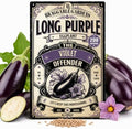Long Purple Eggplant Seeds for Planting, Heirloom Vegetable Garden Seeds, Deep Purple Eggplant Variety for Roasting, Grilling, Baking and Fresh Harvest Cooking by BraggableGardens