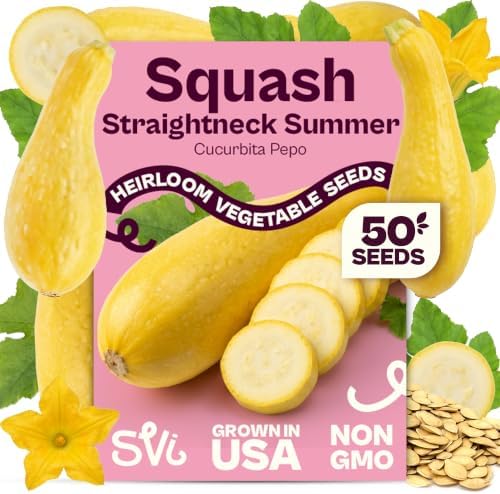 SVI 50 Straightneck Summer Squash Heirloom Vegetable Seeds, Cucurbita Pepo by SVI