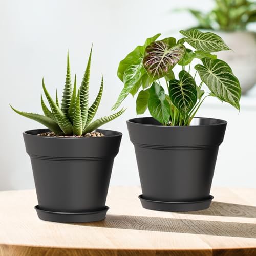 WSMKSZ 4 Inch Plastic Plant Pots with Drainage Holes and Trays – 8 Pack Small Nursery Pots for Indoor & Outdoor House Plants and Flowers, Seedling Starter Planters, Matte Black - Image 5
