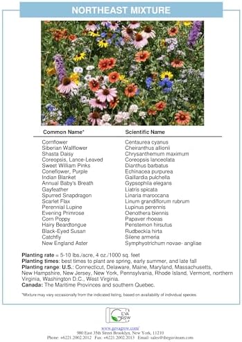 on the Go Regional Wildflower Seed Shaker - Northeast USA Wildflowers - 100% Pure Seed - Organic, Non-GMO - 21 Wildflower Variety Seeds of Annual & Perennial, 8oz - Image 5