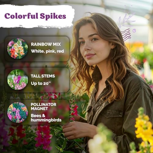 3,000 Tetra Mix Snapdragon Flower Seeds for Planting, Antirrhinum Majus - Image 4