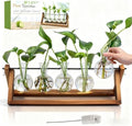 Plant Propagation Stations with Wooden Stand & 5 Glass Bulb Vases by Renmxj