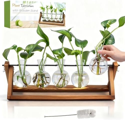 Plant Propagation Stations with Wooden Stand & 5 Glass Bulb Vases by Renmxj