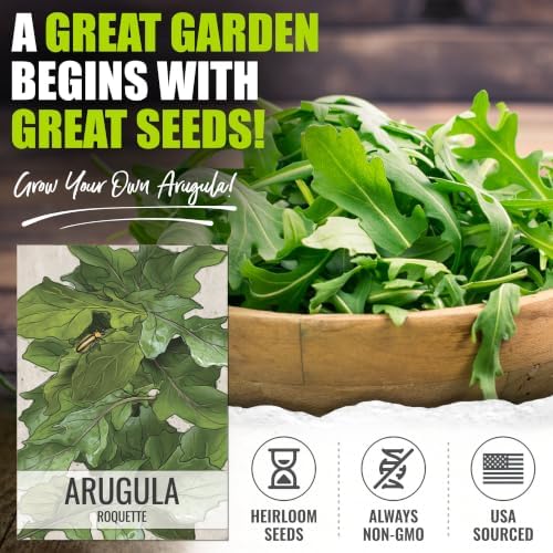 Seed Needs Arugula Seeds to Plant an Herb Garden - 5 Packs - Image 2