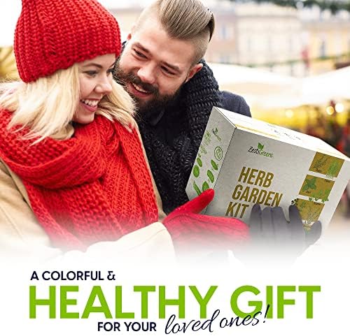 Herb Garden Starter Kit - 8 USA Culinary Herbs - Image 6