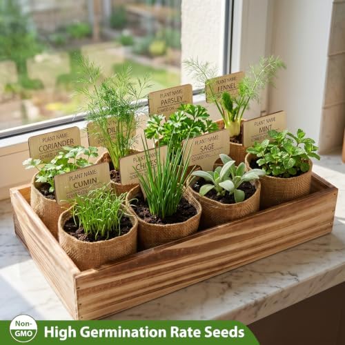 LUOJIBIE Herb Garden Kit Indoor, Herb Growing Kit with Seeds & Tools, Birthday Gifts for Women Men Mom Dad Girls Boys Kids, House Warming Gifts New Home, Kitchen Décor - Image 6