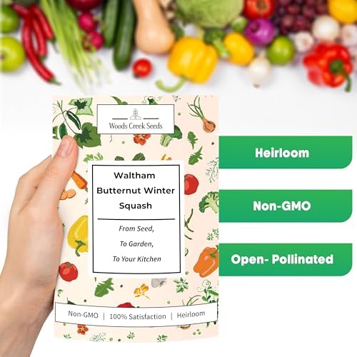 Waltham Butternut Squash Seeds for Planting, 100+ Heirloom Non-GMO Seeds - Image 2