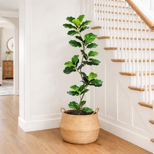 Artificial Fiddle Leaf Fig Tree-5 FT Fake Plant with Nursery Planter,Fake Plants for Home Office Living Room Decor Indoor - Image 4