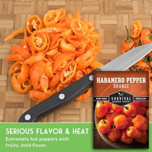 Orange Habanero Seeds for Planting – Survival Garden Seeds (1 Pack) - Image 3