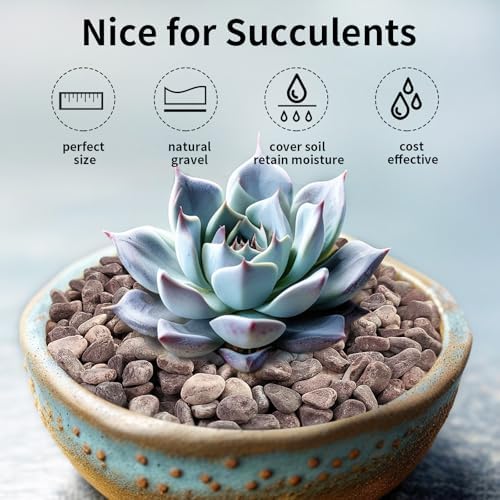 FANTIAN 10 lbs Succulent Cactus Rocks Pebble, 3/8 Inch Aquarium Gravel, Red - Image 4