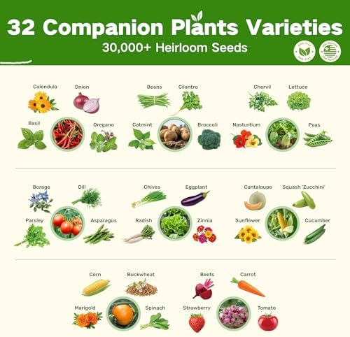 LUSH&DEW Companion Plants Heirloom Seed Bank, Gardening Gifts for Women Men - Image 2