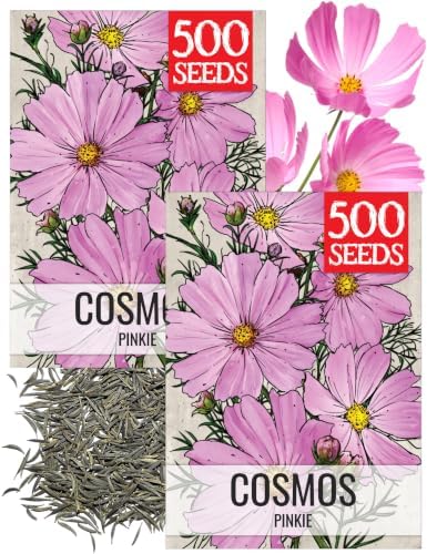 Seed Needs Pinkie Cosmos Seeds to Plant Cut Flowers - 2 Packs by SeedNeeds
