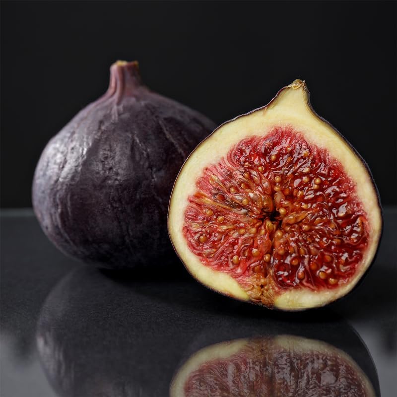 Black Mission Fig Plant (4 Pack) | Live Fruit Plant for Planting | Grow Your Own Sweet & Juicy Figs at Home | Easy to Grow & High-Yielding Tree | Perfect for Fresh Eating, Drying & Organic Gardening - Image 5
