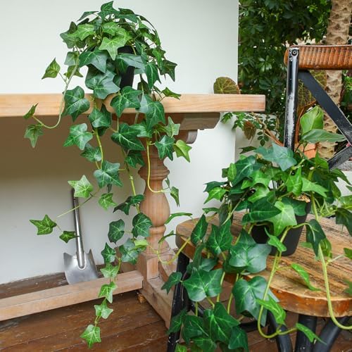 Fake English Ivy Artificial Plants with Pots - Realistic Artificial Silk Ivy Vines, Faux Plants Indoor Home Decor, Low Maintenance Hanging Plant Decoration - Image 6