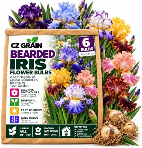 6 Bearded Iris Rhizomes | Mixed Color Perennial Flowers for Garden Borders by CZGrain