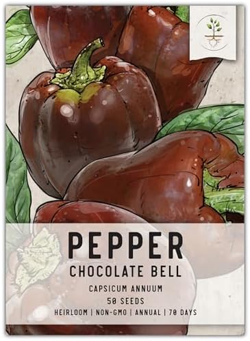 Seed Needs Sweet Chocolate Bell Pepper Seeds to Plant Vegetables - 1 Pack by SeedNeeds
