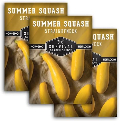 Yellow Straightneck Squash Seeds for Planting (3 Packs) by SurvivalGardenSeeds
