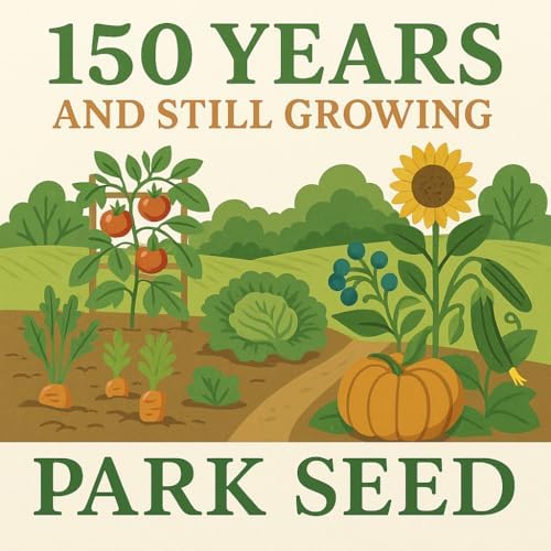Park Seed Grow Your Own Eucalyptus Seeds Plant, Perfect for Indoor Growing and Spring Garden, Lemon Bush, Pack of 15 - Image 5