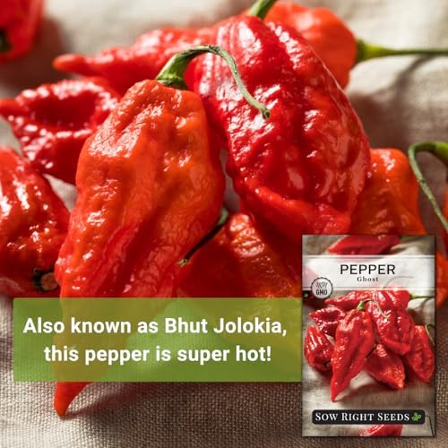 Sow Right Seeds- Ghost Pepper Seed for Planting Outdoor Hottest Peppers 4pk - Image 3